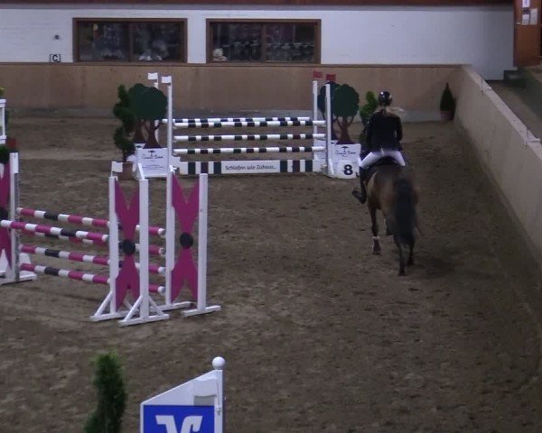 Reitturnier Hövelhof 2024
