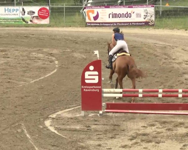 Leutkirch-Haid 2013