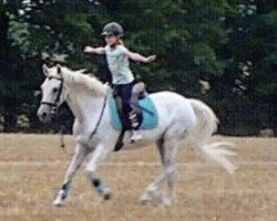 dressage horse Bonita 273 (German Riding Pony, 1996, from Brillant)