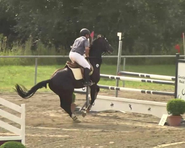 Leutkirch-Haid 2013