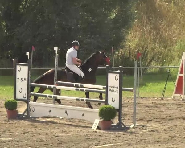 Leutkirch-Haid 2013