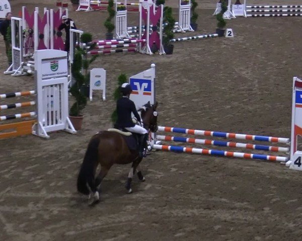 Reitturnier Hövelhof 2024