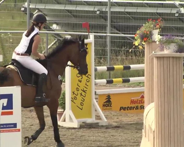 Leutkirch-Haid 2013