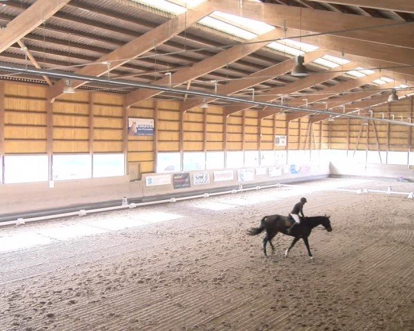 Reitturnier Urtenen-Schönbühl 2024