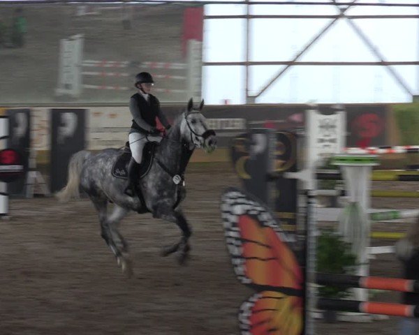 Reitturnier Pausin 2024