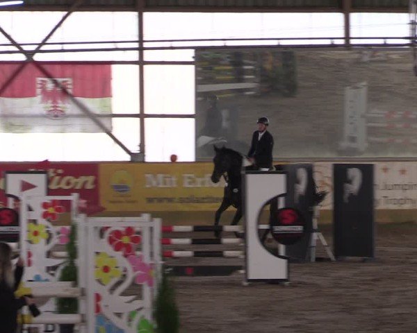 Reitturnier Pausin 2024