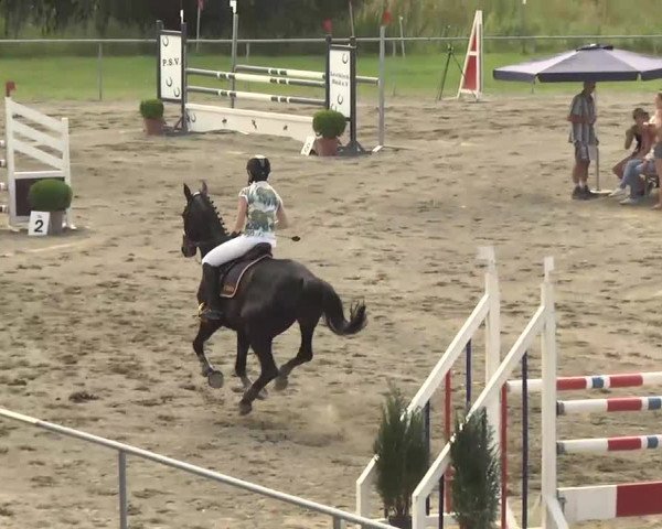 Leutkirch-Haid 2013