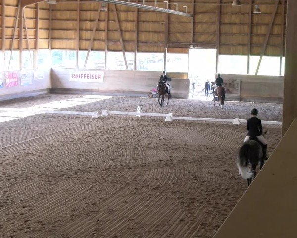 Reitturnier Urtenen-Schönbühl 2024