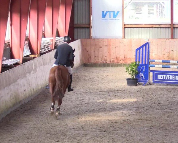 Reitturnier Süderlügum 2024