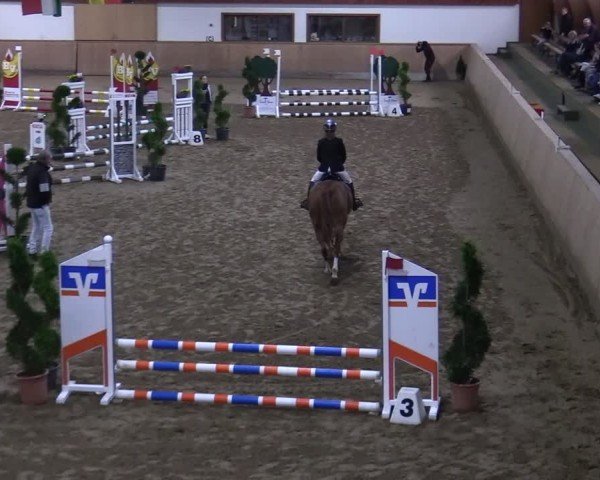 Reitturnier Hövelhof 2024