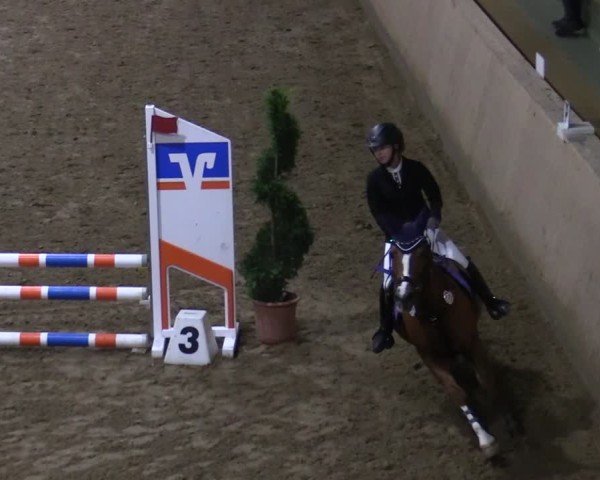 Reitturnier Hövelhof 2024
