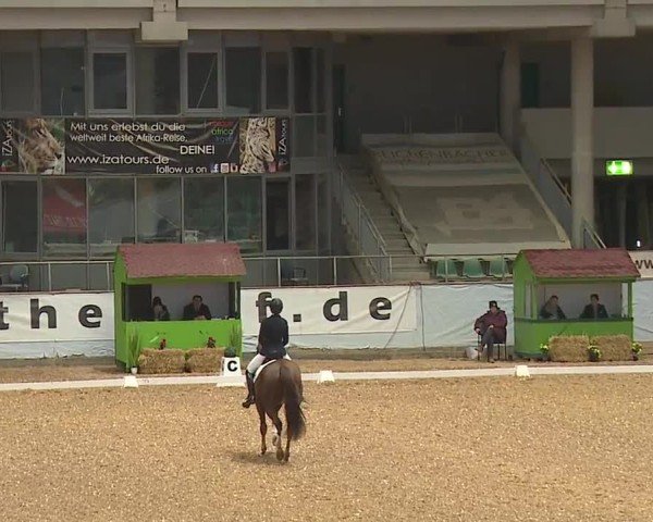 Reitturnier Kreuth/Opf. 2024