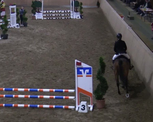 Reitturnier Hövelhof 2024