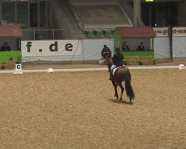 Reitturnier Kreuth/Opf. 2024
