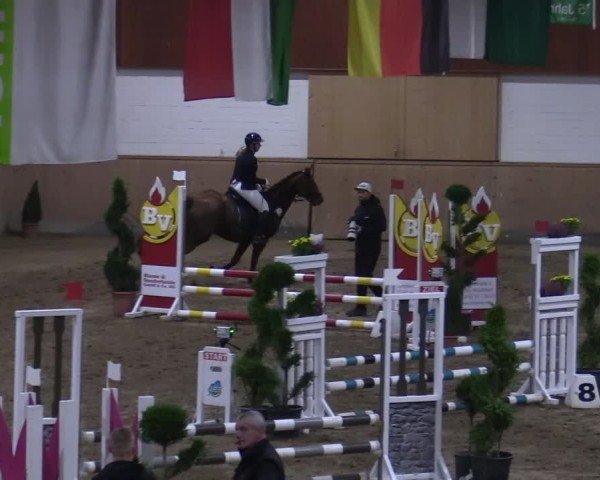Reitturnier Hövelhof 2024