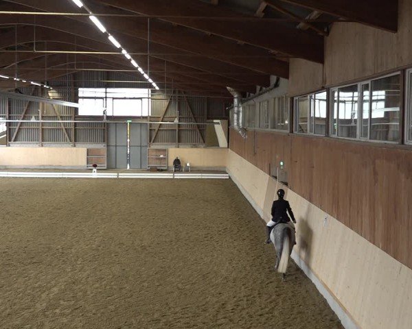 Reitturnier Uster 2024