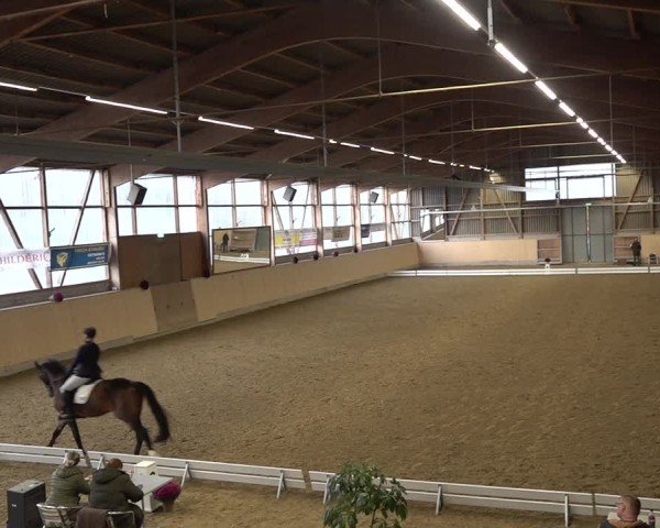Reitturnier Uster 2024