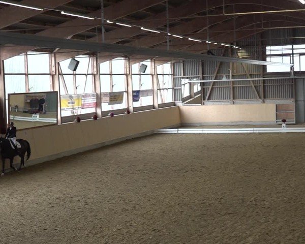 Reitturnier Uster 2024