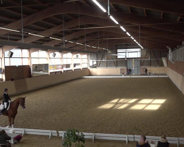 Reitturnier Uster 2024