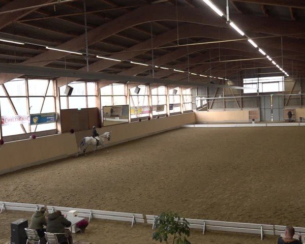 Reitturnier Uster 2024