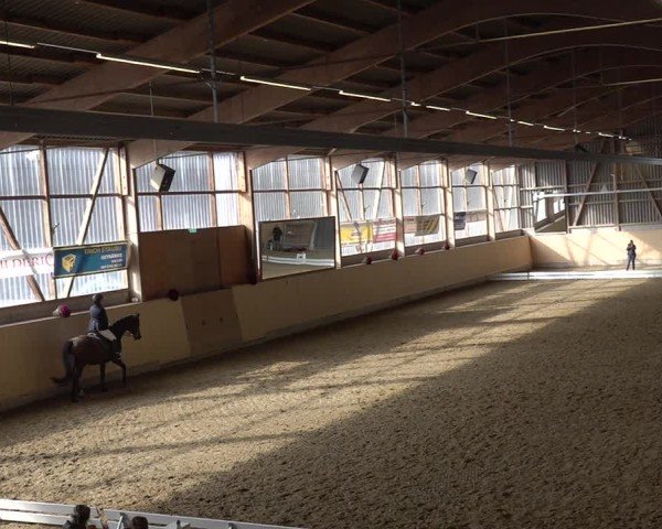 Reitturnier Uster 2024
