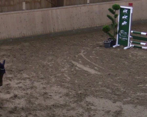 Reitturnier Hövelhof 2024