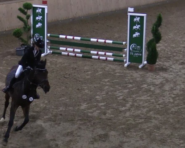 Reitturnier Hövelhof 2024
