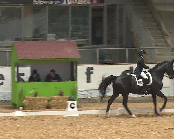 Reitturnier Kreuth/Opf. 2024