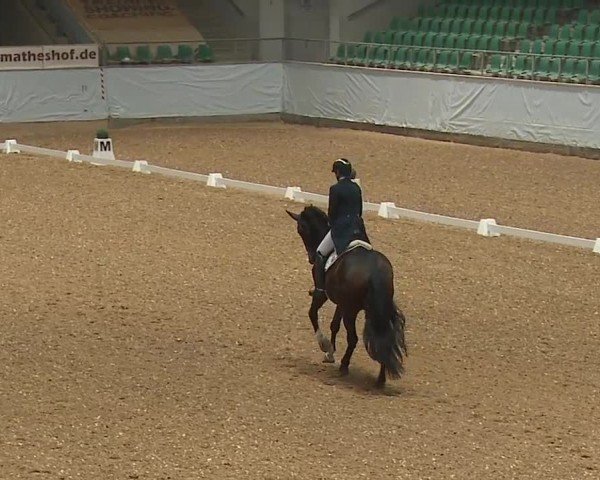 Reitturnier Kreuth/Opf. 2024