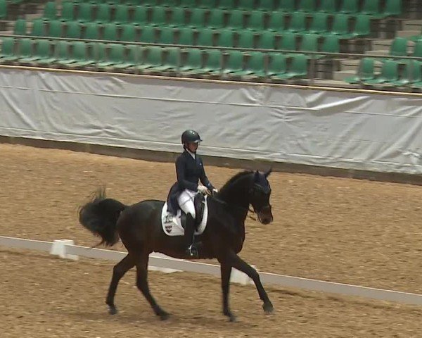 Reitturnier Kreuth/Opf. 2024