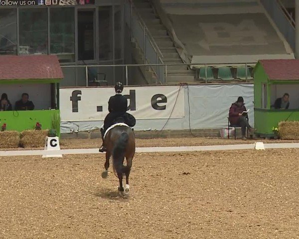 Reitturnier Kreuth/Opf. 2024