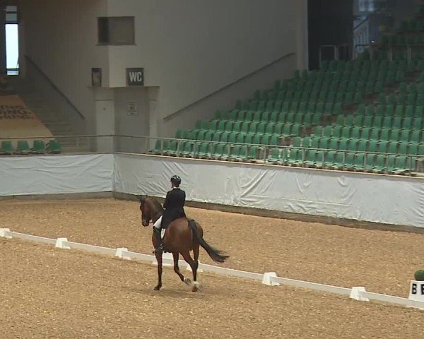 Reitturnier Kreuth/Opf. 2024