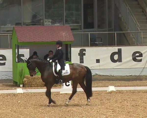 Reitturnier Kreuth/Opf. 2024
