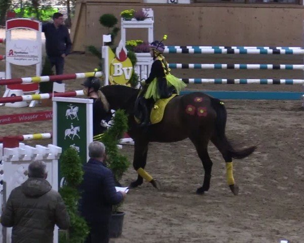Reitturnier Hövelhof 2024