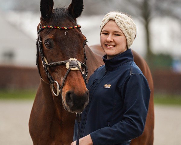 jumper Constantin 88 (German Sport Horse, 2007, from Cesaro)