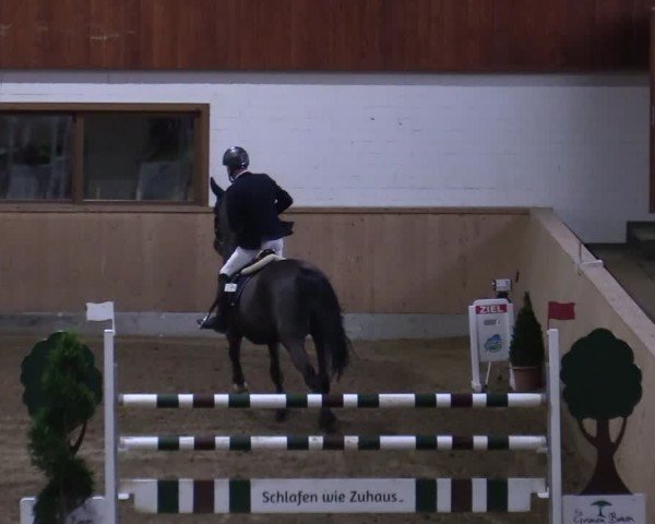 Reitturnier Hövelhof 2024
