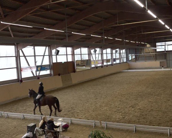 Reitturnier Uster 2024