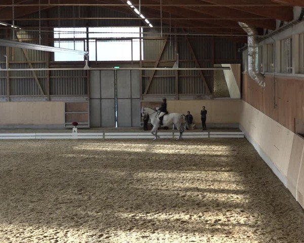 Reitturnier Uster 2024
