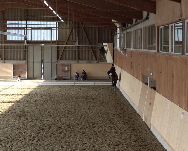 Reitturnier Uster 2024