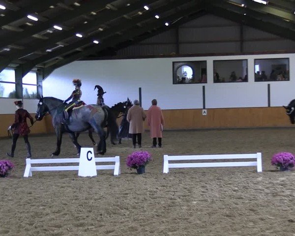 Reitturnier Frechen-Bachem 2024