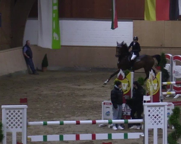 Reitturnier Hövelhof 2024