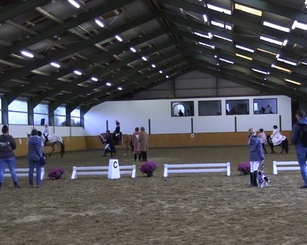 Reitturnier Frechen-Bachem 2024