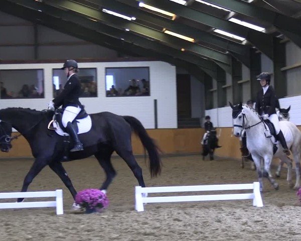 Reitturnier Frechen-Bachem 2024