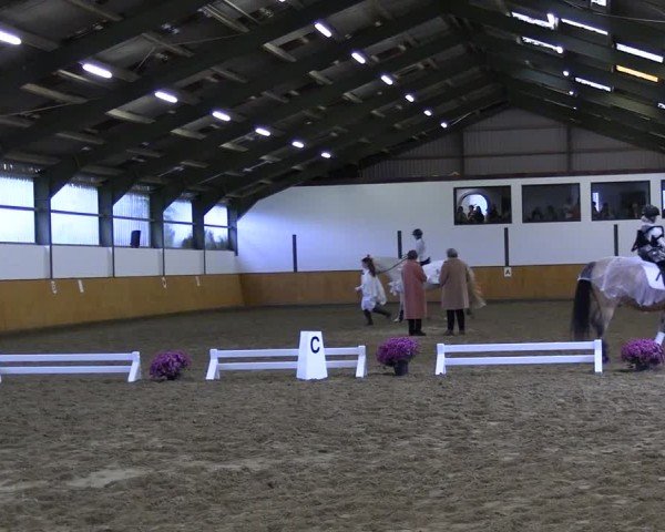 Reitturnier Frechen-Bachem 2024