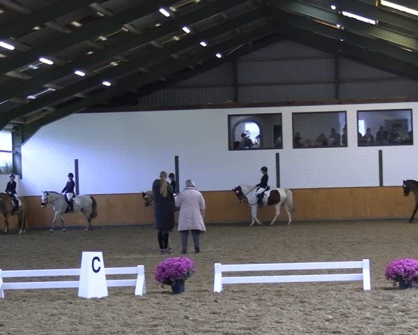 Reitturnier Frechen-Bachem 2024