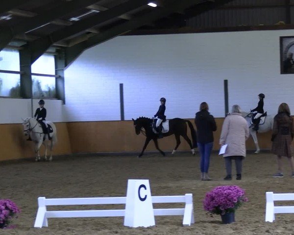 Reitturnier Frechen-Bachem 2024