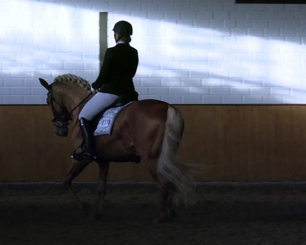 Reitturnier Frechen-Bachem 2024