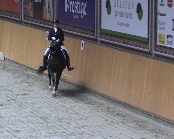 Reitturnier Güstrow/Cavallo Arena  2024