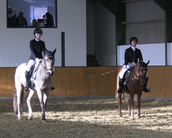Reitturnier Frechen-Bachem 2024