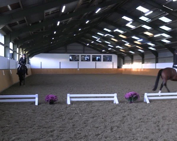 Reitturnier Frechen-Bachem 2024
